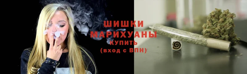 Бошки марихуана THC 21%  купить закладку  Алагир 